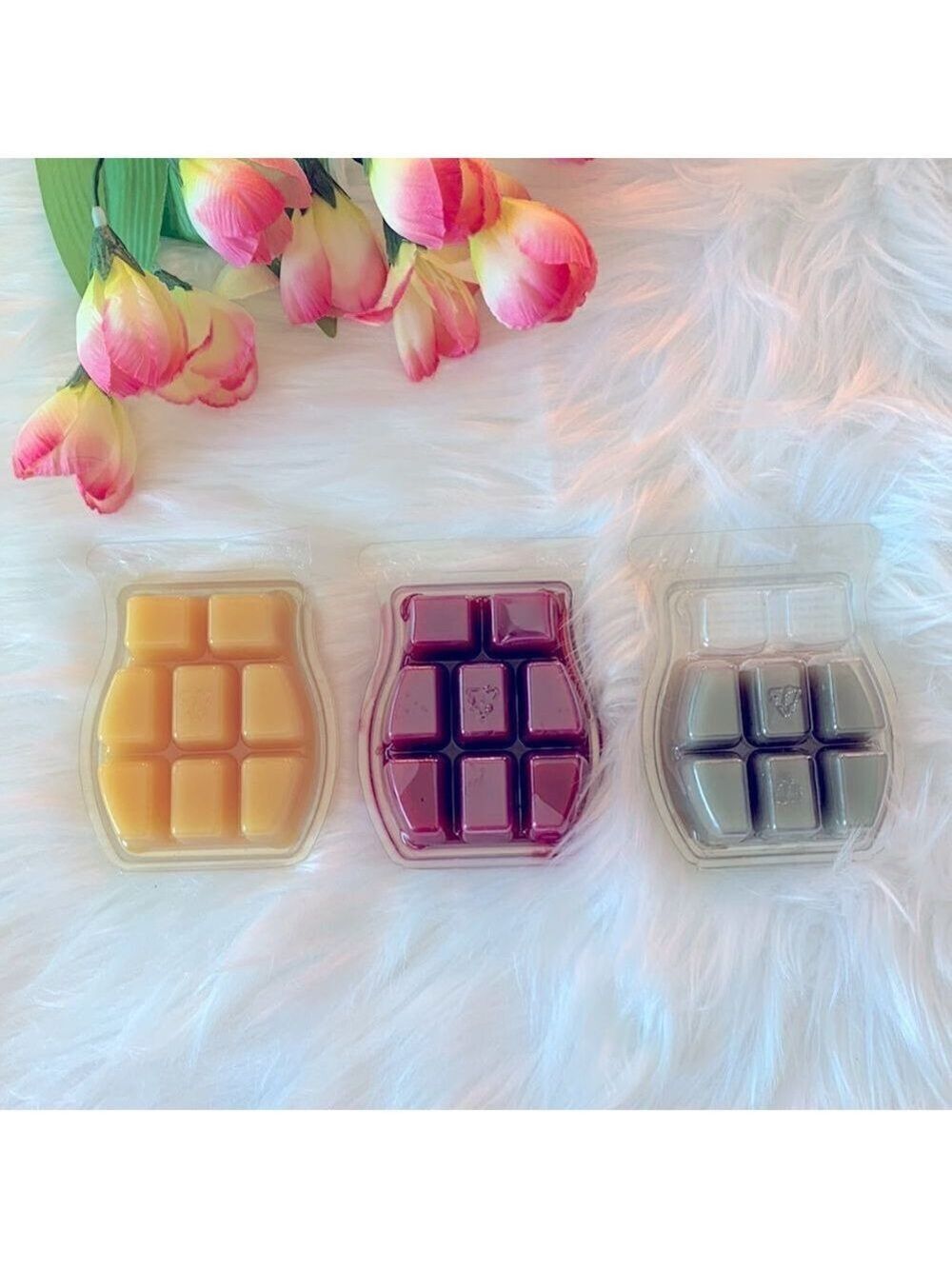 SCENTSY BARS